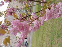 Tetyana_kh, 40 из г. Харьков