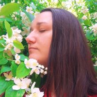 AH9l, 33 из г. Киев