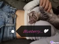 Blueberry, 31 из г. Ульяновск