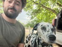 рамашка, 29 из г. Полтава