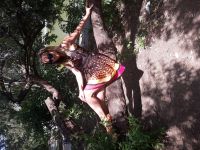 Valter, 40 из г. Одесса