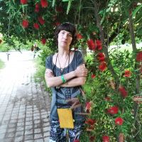 bet, 49 из г. Саранск