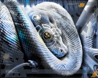 SnakeAlternative, 35 из г. Ефремов