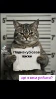 Михаил27, 42 из г. Бердичев