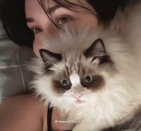 Венди, 20 из г. Формоза