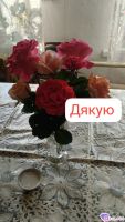 Krejzi, 22 из г. Киев