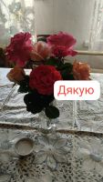 SexiGerl2025, 22 из г. Киев