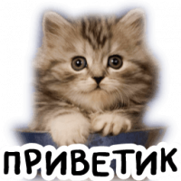 Hkj, 19 из г. Киров