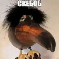 Вишневый_сок, 25 из г. Староюрьево