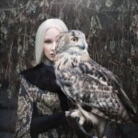 Сова, 45 из г. Иваново