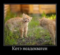Ricardo87, 38 из г. Таганрог