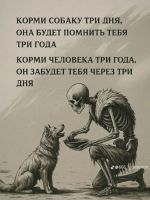 Асимус1234, 43 из г. Тимашевск