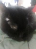 Артем1989, 36 из г. Сумы