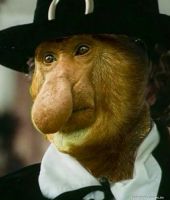 ВОВКА, 39 из г. Химки