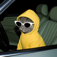 MadMan, 30 из г. Одесса