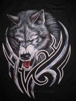 Притворник, 45 из г. Dagu