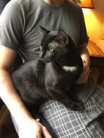 Nikolaevish, 45 из г. Ядрин