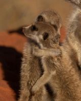 смутьян76, 49 из г. Екатеринбург