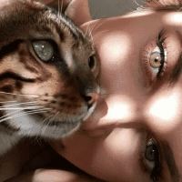 Латте, 26 из г. Бар