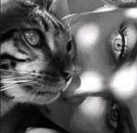 Латте, 25 из г. Бар