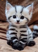 Вал_ерий, 50 из г. Уральск