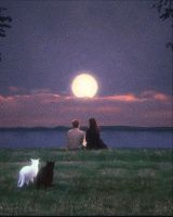 Jarvis, 26 из г. Ашхабад