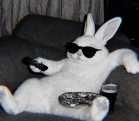 L222, 43 из г. Санто-доминго