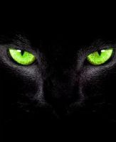 turn_the_page, 43 из г. Dagu