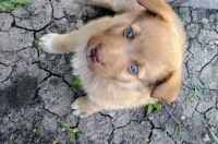 Domina523, 55 из г. Днепр