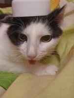 tinolik111, 25 из г. Херсон