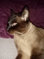 Barsk, 56 из г. Арсеньев