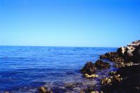 Cummi, 47 из г. Винница