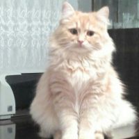 Maus27, 25 из г. Днепр