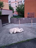 Xeunc, 29 из г. Ахалкалаки