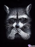 Нету_НикА, 35 из г. Хмельницкий
