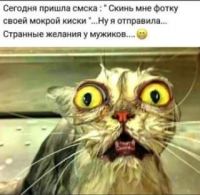 Kvazimoga, 38 из г. Харьков