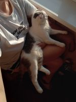 nikol24, 37 из г. Харьков