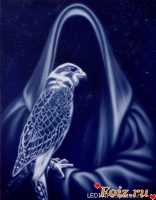 id44795, 45 из г. Харьков