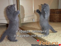 ленивец, 64 из г. Харьков