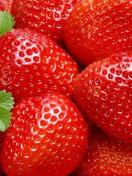 id51854, 46 из г. Киев