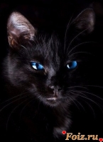 Tanushka-id52571, 33 из г. Киев