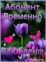 id52918, 33 из г. Брянск