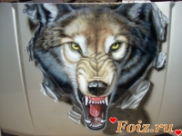 id53058, 44 из г. Харьков