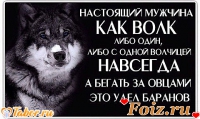 id53826, 43 из г. Харьков