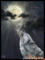 _СУМРАК_-id54263, 36 из г. Киев