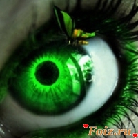 id56135, 28 из г. Киев