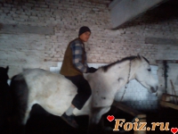 Андрей2094-id57720, 42 из г. Александрия