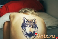 id58793, 37 из г. Киев