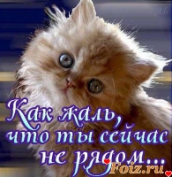 id59664, 42 из г. Харьков