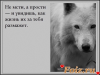 id75406, 33 из г. Донецк 